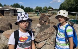 Wakcje z GOKiem (3)